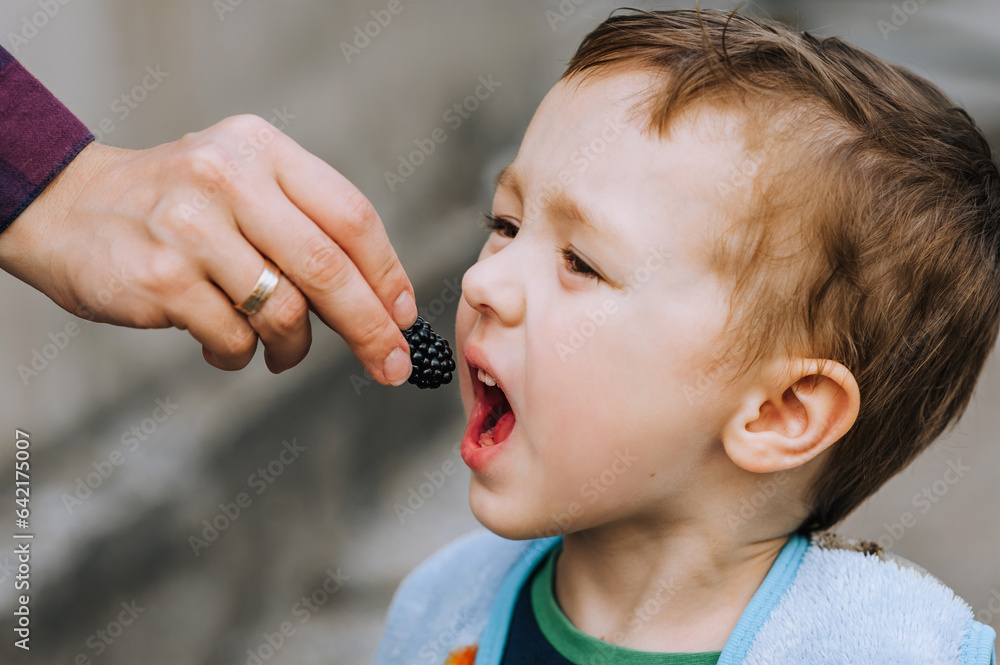 A caring mother feeds a boy, a child, a son with blackberries, raspberries. Photography, portrait. A caring mother feeds a boy, a child, a son with blackberries, raspberries. Photography, portrait.
