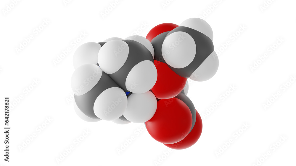 acetylcarnitine molecule, acetyllcarnitine molecular structure
