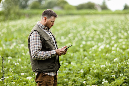 Farmer or agronomist uses digital tablet to analyse and check the growth and disease of the blooming plants in the potato field. Smart farming technology and agriculture business concept.