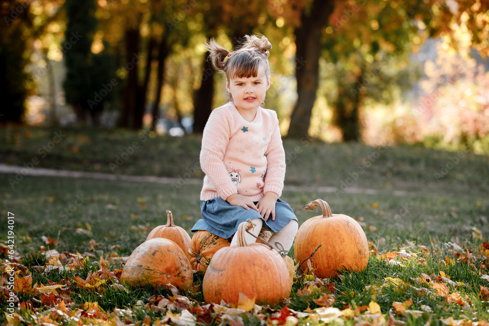Cheerful little child girl lift very large orange pumpkin for her Halloween or Thanksgiving decoration outdoor at warm autumn day. Good harvest. Harvest time. Farm vegetables. Happy childhood concept Cheerful little child girl lift very large orange pumpkin for her Halloween or Thanksgiving decoration outdoor at warm autumn day. Good harvest. Harvest time. Farm vegetables. Happy childhood concept