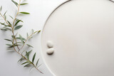 Calm Serenity: Eucalyptus Twig and Smooth Pebbles on a Circle - Tranquil Botanical Backdrop
