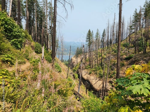 View from Oneonta Gorge Trail to Triple falls in the Columbia River gorge photo