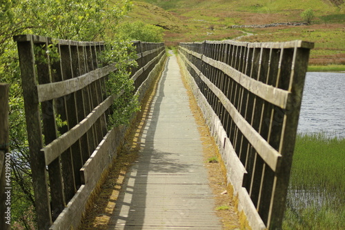 Fototapeta Naklejka Na Ścianę i Meble -  wooden bridge in the forest