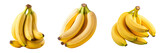 Bananas on a transparent background