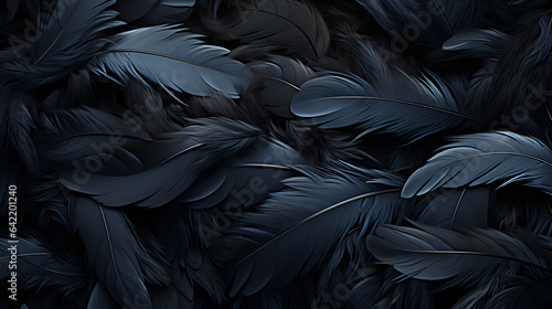 solid background of black and blue raven feathers macro details © Yuliia