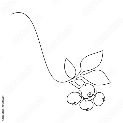 Line continuous blueberry branch with leaves. Vector icon. Hand drawn outline illustration. Linear berries silhouette. Garden plant. Minimal design, print, banner, card, brochure, logo, menu, sign.