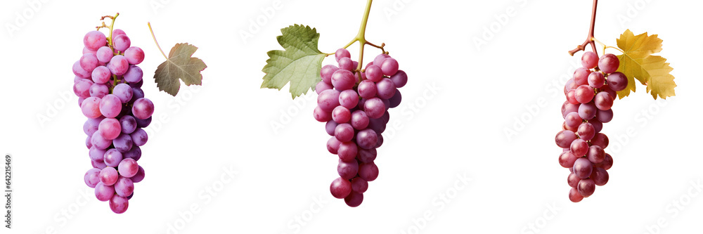 Grapes on a transparent background with depth of field and room for text Grapes on a transparent background with depth of field and room for text