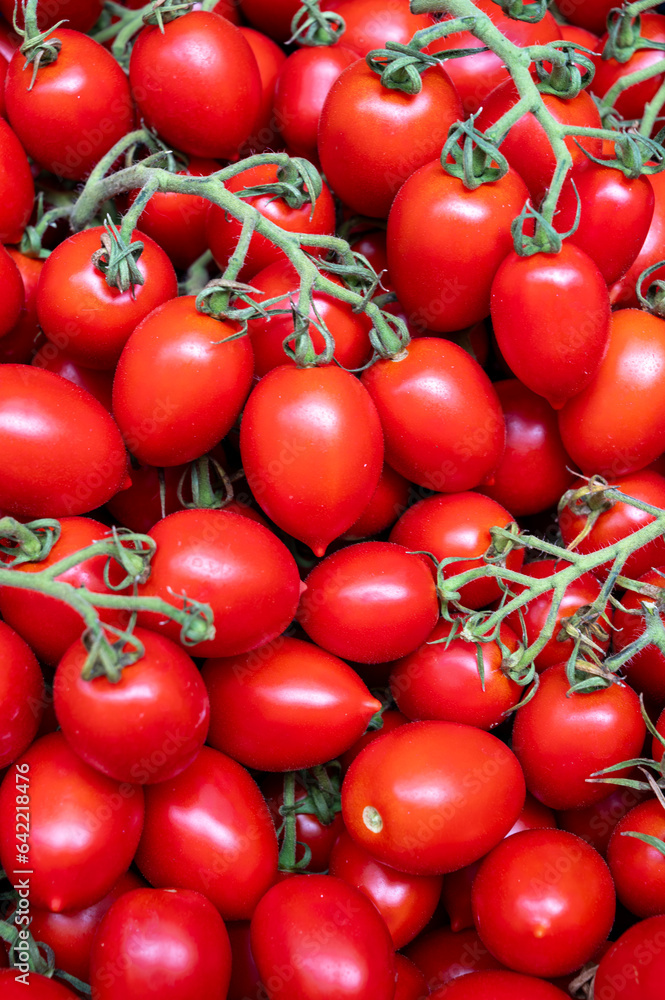 Fresh ripe organic mini roma cherry tomatoes