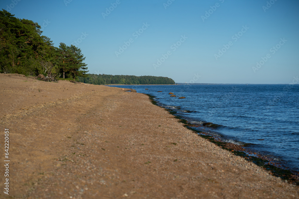 The sandy shore of the Gulf of Finland near the village of Ushkovo. Rest on the shore of the bay.Walking along the water