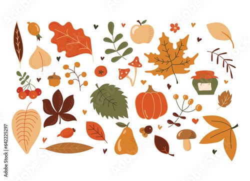 Collection of colored beautiful autumn items isolated on white background. Apple, pear, pumpkin, rowan, leaves, fruits, twigs, jam jar, mushrooms. Autumn. All objects are separated. 