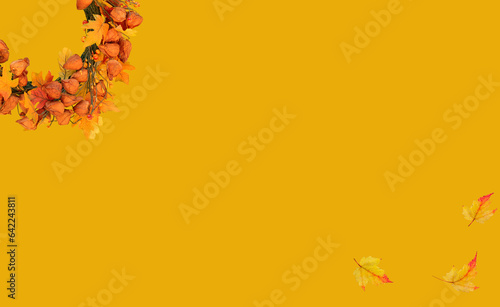 autumn wreath of artificial red leaves and autumn fruits on an orange background. banner. free space for your product ideas or inscriptions. © Ann Stryzhekin