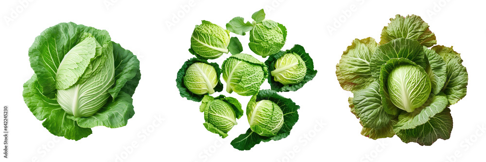 Fresh cabbage leaves on transparent background Fresh cabbage leaves on transparent background