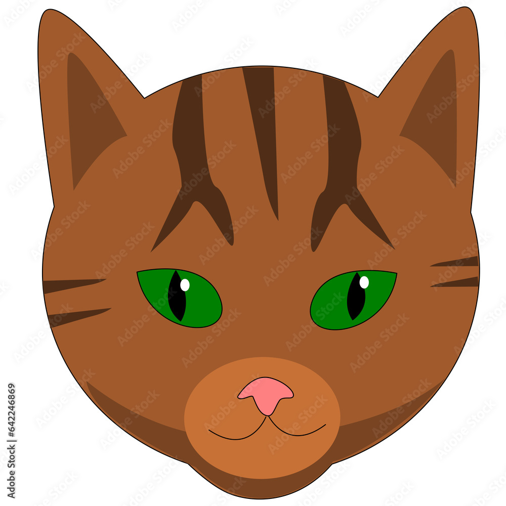 cat cat