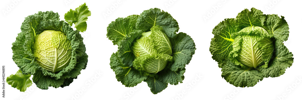Top view of isolated super food Savoy cabbage transparent background Top view of isolated super food Savoy cabbage transparent background