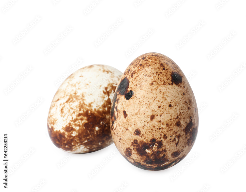 Beautiful speckled quail eggs on white background Beautiful speckled quail eggs on white background