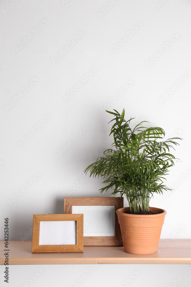 Wooden shelf with beautiful green houseplant and photo frames on white wall Wooden shelf with beautiful green houseplant and photo frames on white wall
