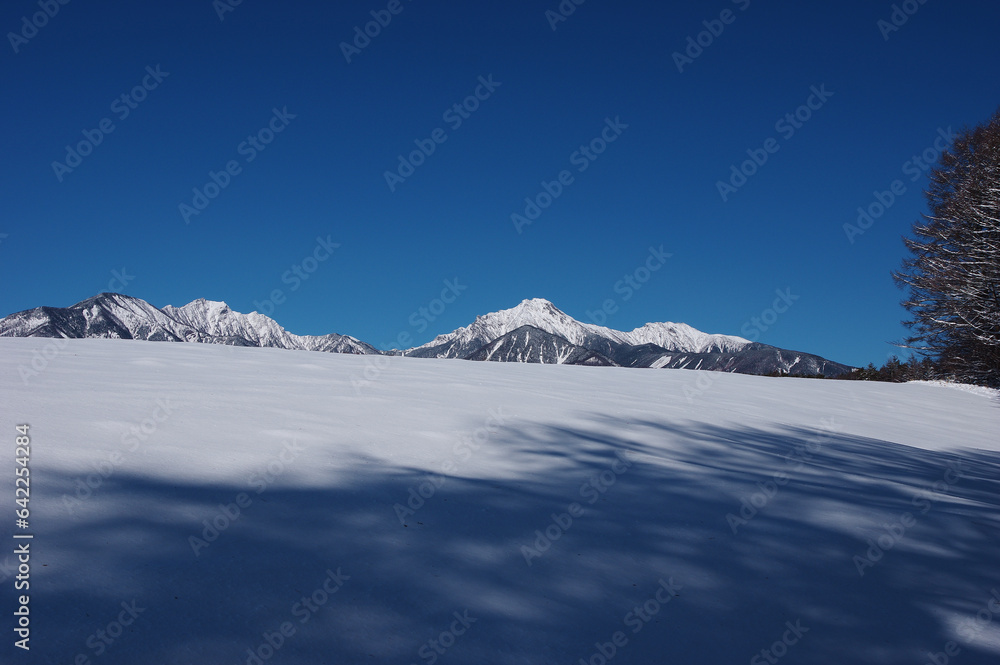 雪の降った翌朝の雪原とそこから見る八ヶ岳連峰