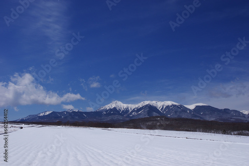 雪解けを待つ高原野菜畑と冬姿の八ヶ岳連峰