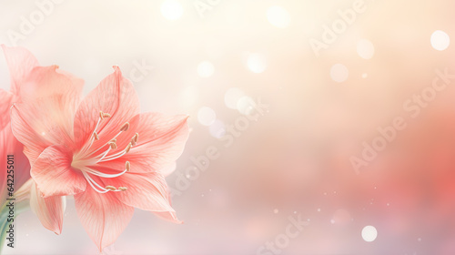 Pink Amaryllis flowers against blurred winter background with copy space.