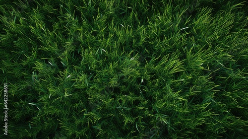 Grass, AI generated Image