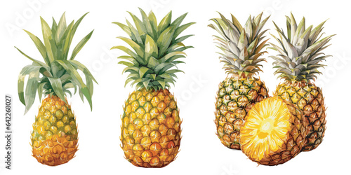 watercolor pineapple clipart for graphic resources