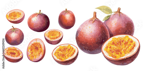 watercolor passion fruit clipart for graphic resources