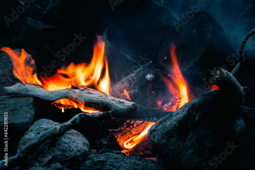 Drift wood campfire
