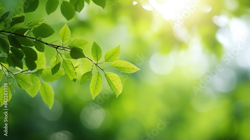 green leaves on a sunny day background © CLOVER BACKGROUND