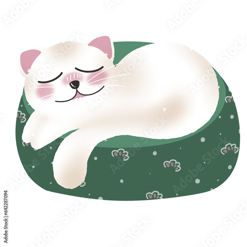 sleeping cat2
