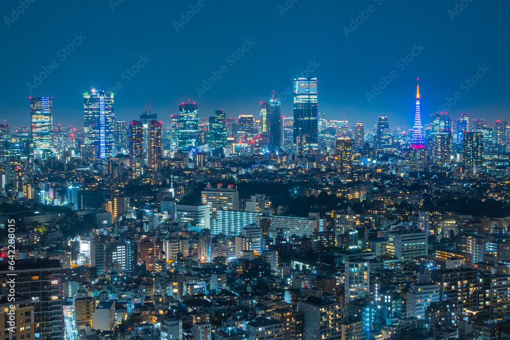 恵比寿の高層ビルから見た東京の夜景