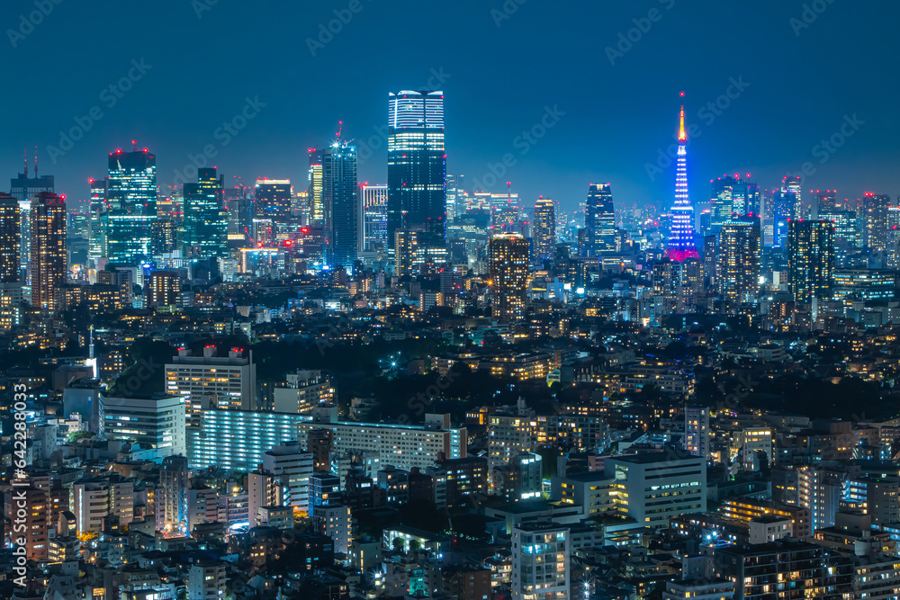 恵比寿から見た東京の夜景