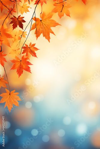Autumn leaves over a blurred background  beautiful fall colors