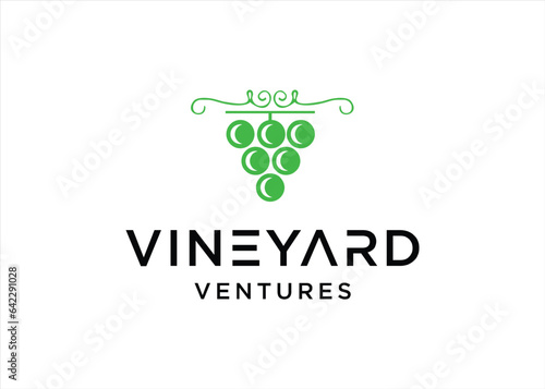 grape vineyard logo design wine