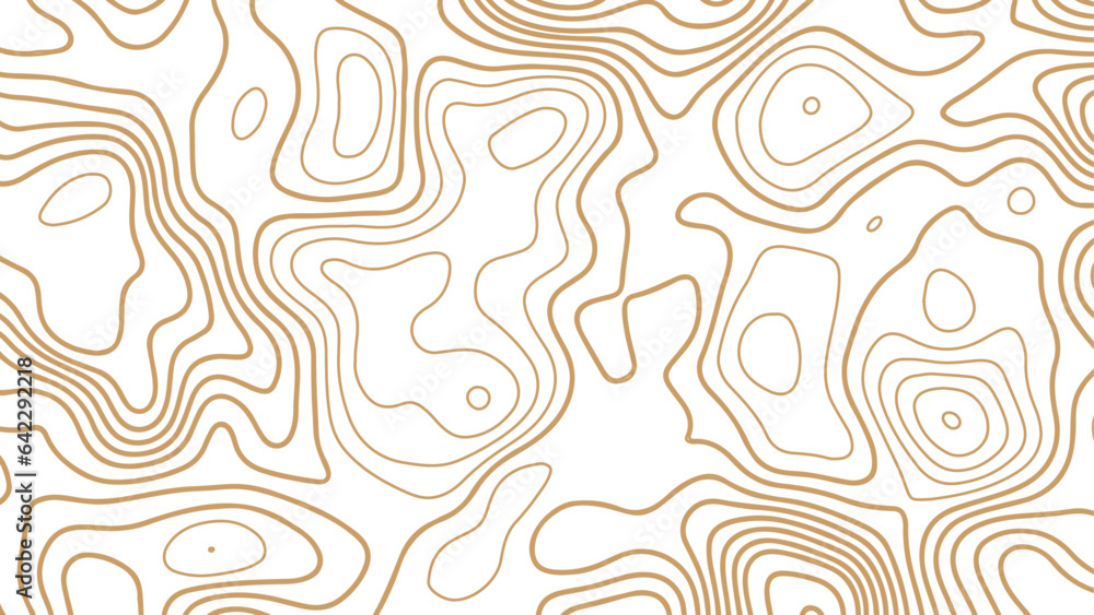 Abstract pattern with lines. Background of the color topographic map.  Line topography map contour background.