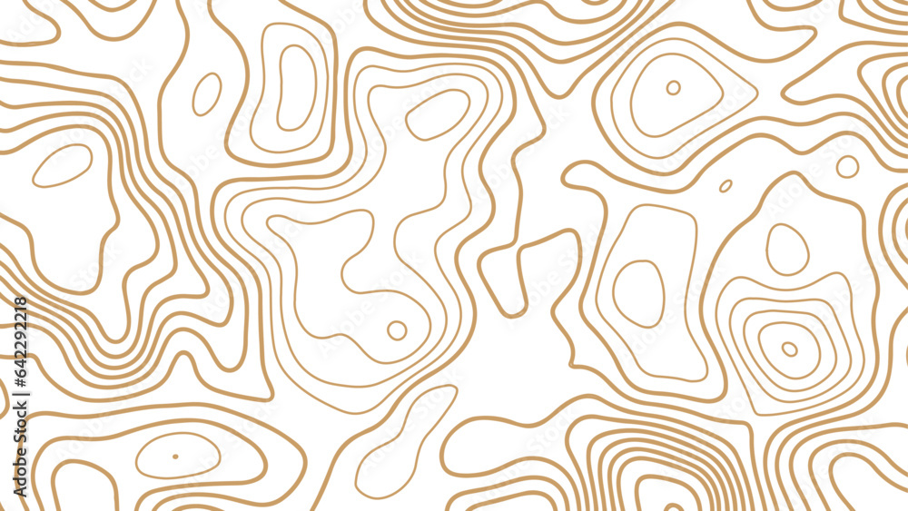 Abstract pattern with lines. Background of the color topographic map. Line topography map contour background. Abstract pattern with lines. Background of the color topographic map. Line topography map contour background.