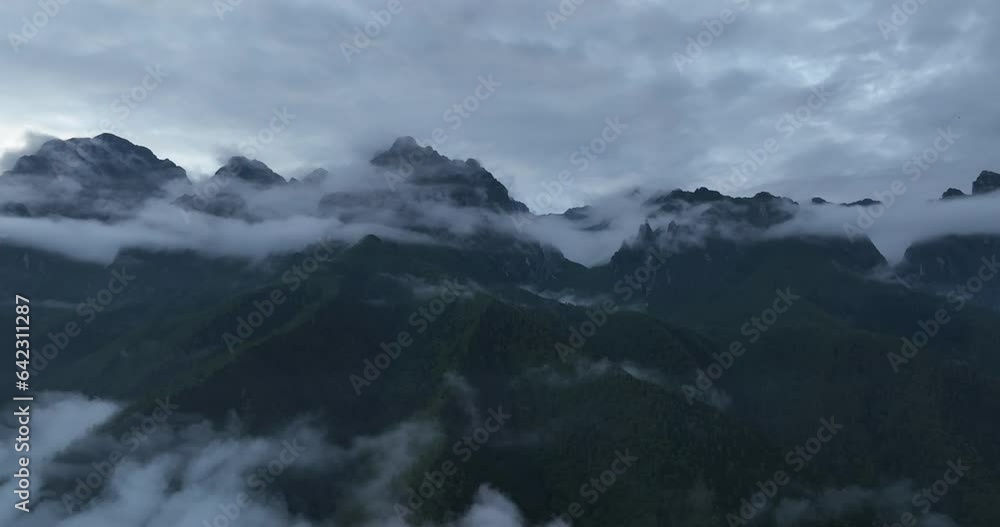 Beautiful forest landscape in Sichuan, China Beautiful forest landscape in Sichuan, China
