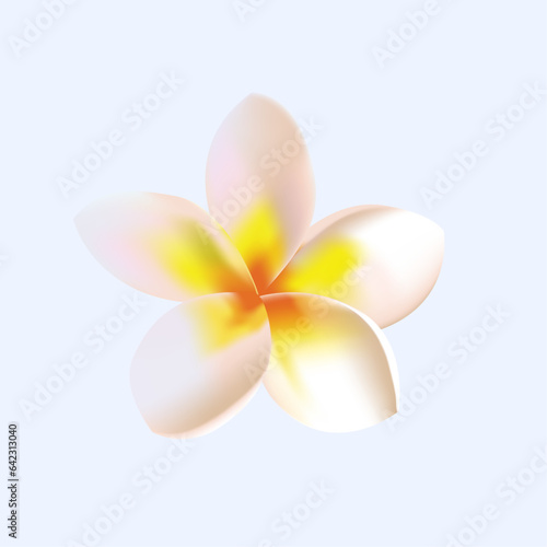 Vector yellow plumeria flower collection isolated on transparent