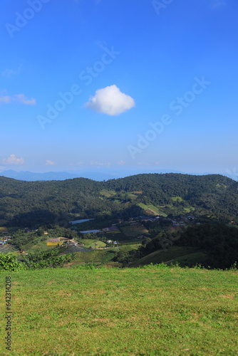 nature, landscape, sky, background, view, mist, mountain, green, mist, tree