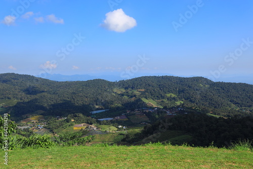 nature, landscape, sky, background, view, mist, mountain, green, mist, tree