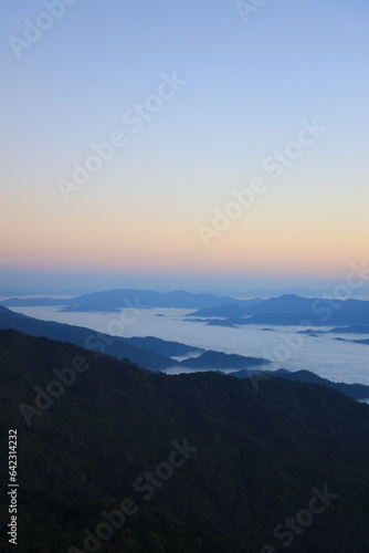 nature, landscape, sky, background, view, mist, mountain, green, mist, tree © Worapoj