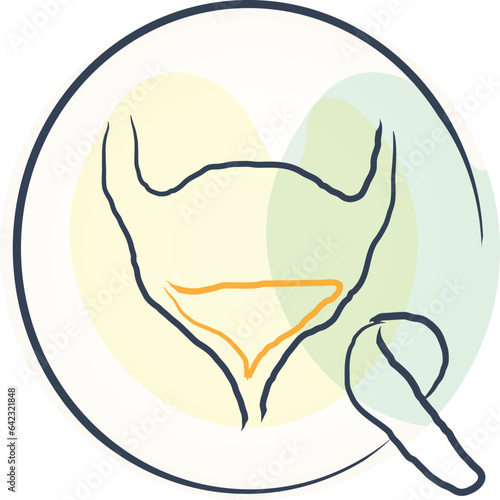 Bladder control problems are conditions that affect the way a person holds or releases urine