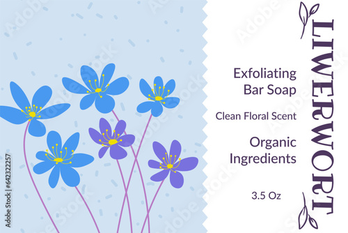 Liverworts exfoliating bar soap organic cosmetics