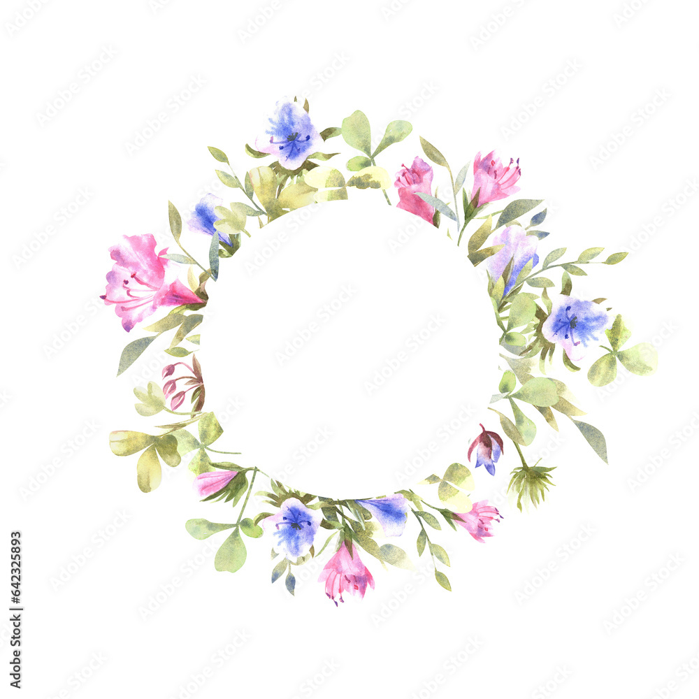 Watercolor frame of pink and blue meadow flowers on transparent background