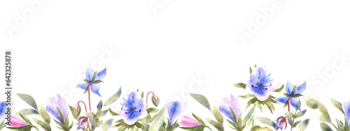 Pink and blue flowers. Watercolor seamless border of garden and meadow flowers © Анастасия Гусарова