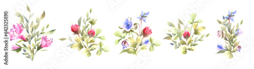 Pink and blue flowers. Set of bouquets of garden and meadow flowers.