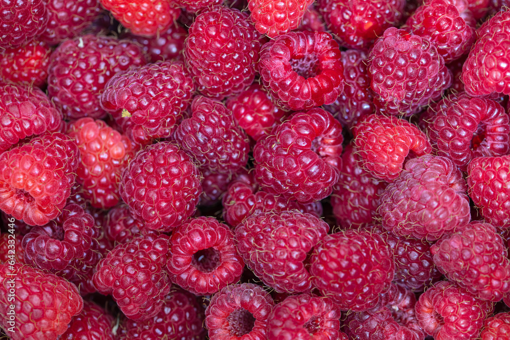 red raspberries textured background red raspberries textured background