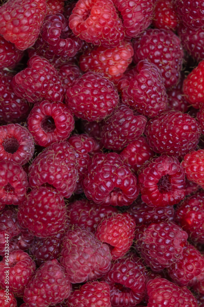 red raspberries textured background red raspberries textured background