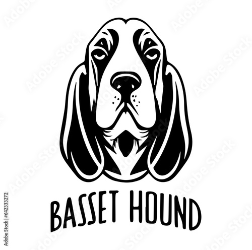 Dog breed Basset Hound. Vector illustration design.
