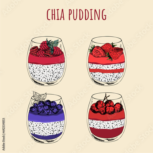 Collection of the chia seed puddings in glass with fresh berries jam layer. Healthy superfood breakfast, fruit parfait dessert vector illustration.