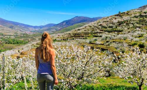 Woman standing enjoying beautiful landscape in Spain- Jerte valley,  cherry tree photo